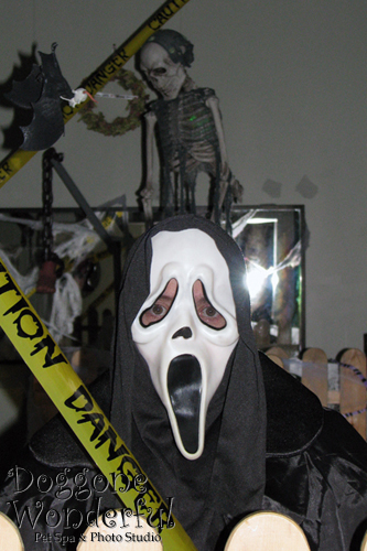 Frightfully Fun 2010: Scream!!